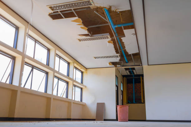 Best Flood damage cleanup  in Berne, IN