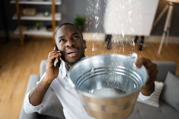 Best Water damage restoration near me  in Berne, IN
