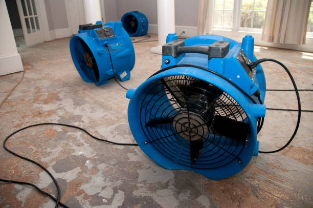 Best Carpet water damage restoration  in Berne, IN