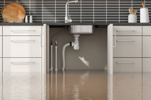 Best Sewage cleanup and water damage restoration  in Berne, IN