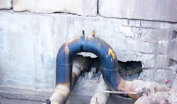 Best Flood restoration services  in Berne, IN